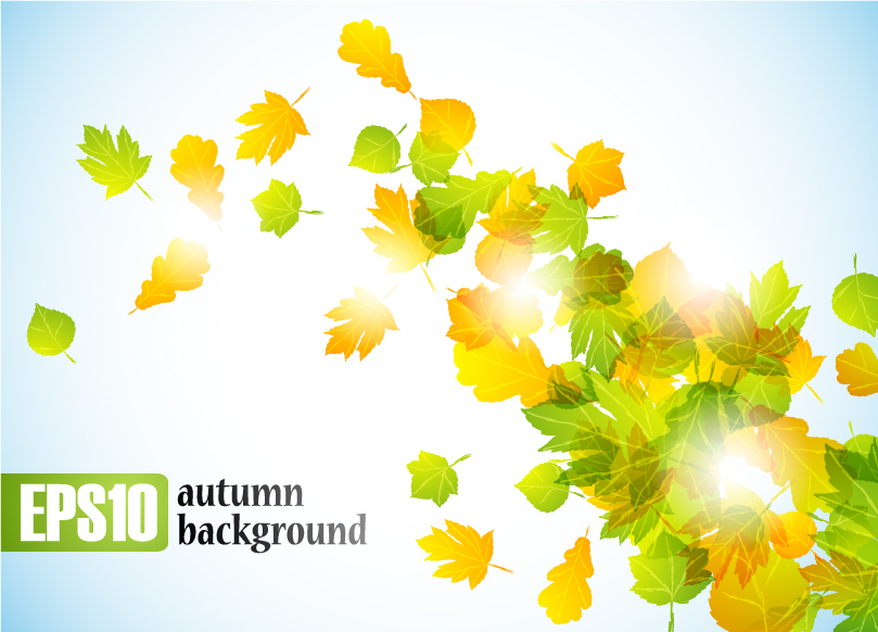 free vector Autumn leaves vector 2